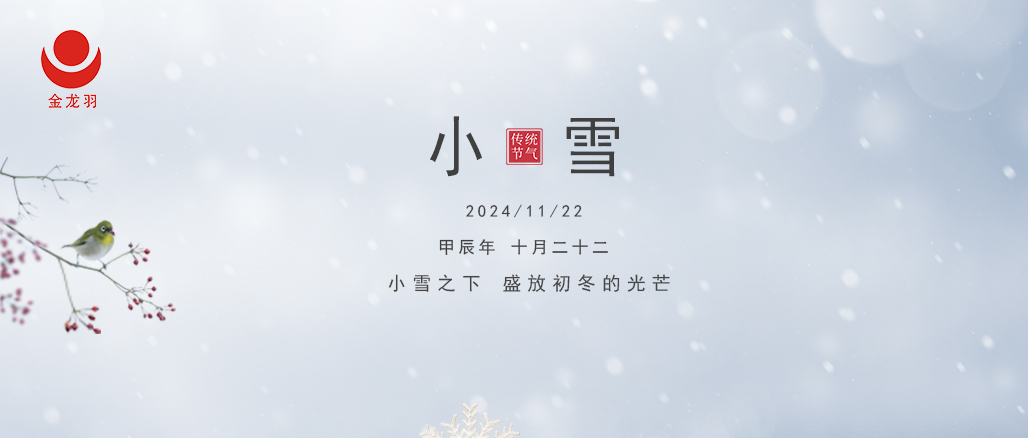 小雪至，寒未深 —— 金龍羽電線電纜與你溫暖相伴